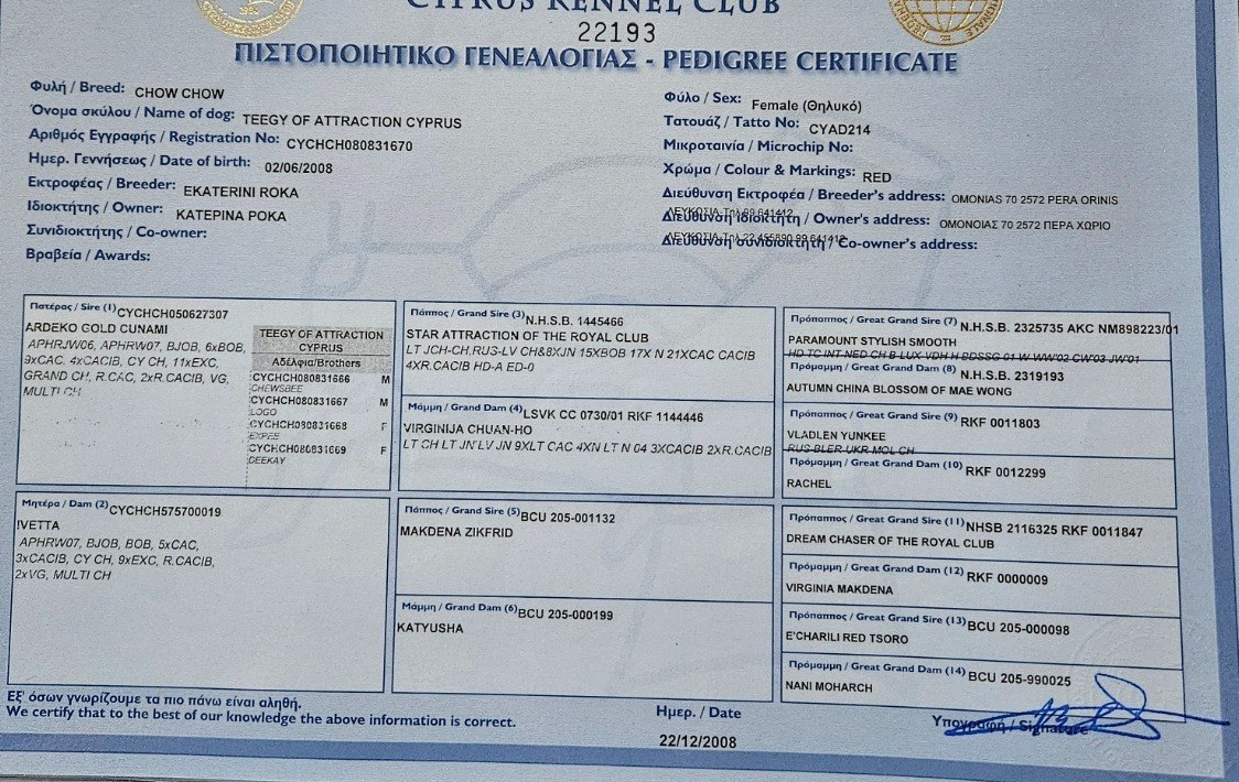 Pedigree of Tigee of Attraction Cyprus
